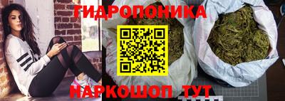 jwh Братск