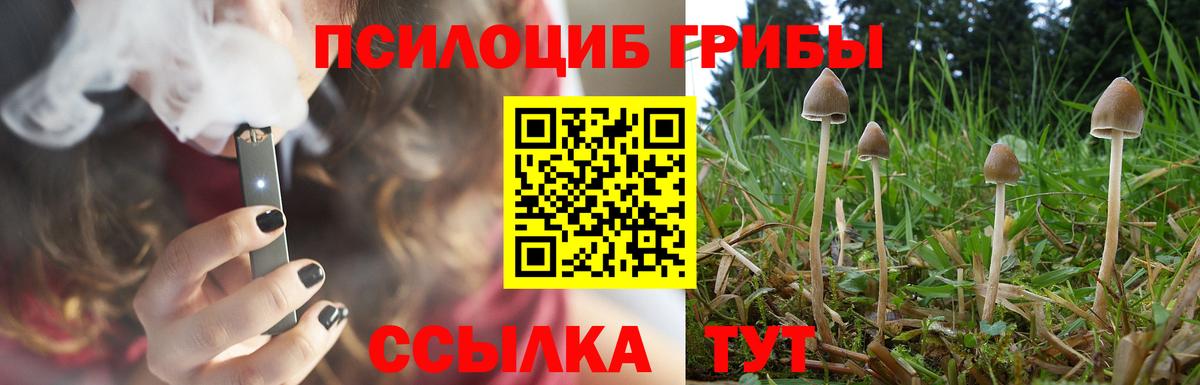 Псилоцибиновые грибы MAGIC MUSHROOMS  Вход с VPN  купить наркоту  Воткинск 